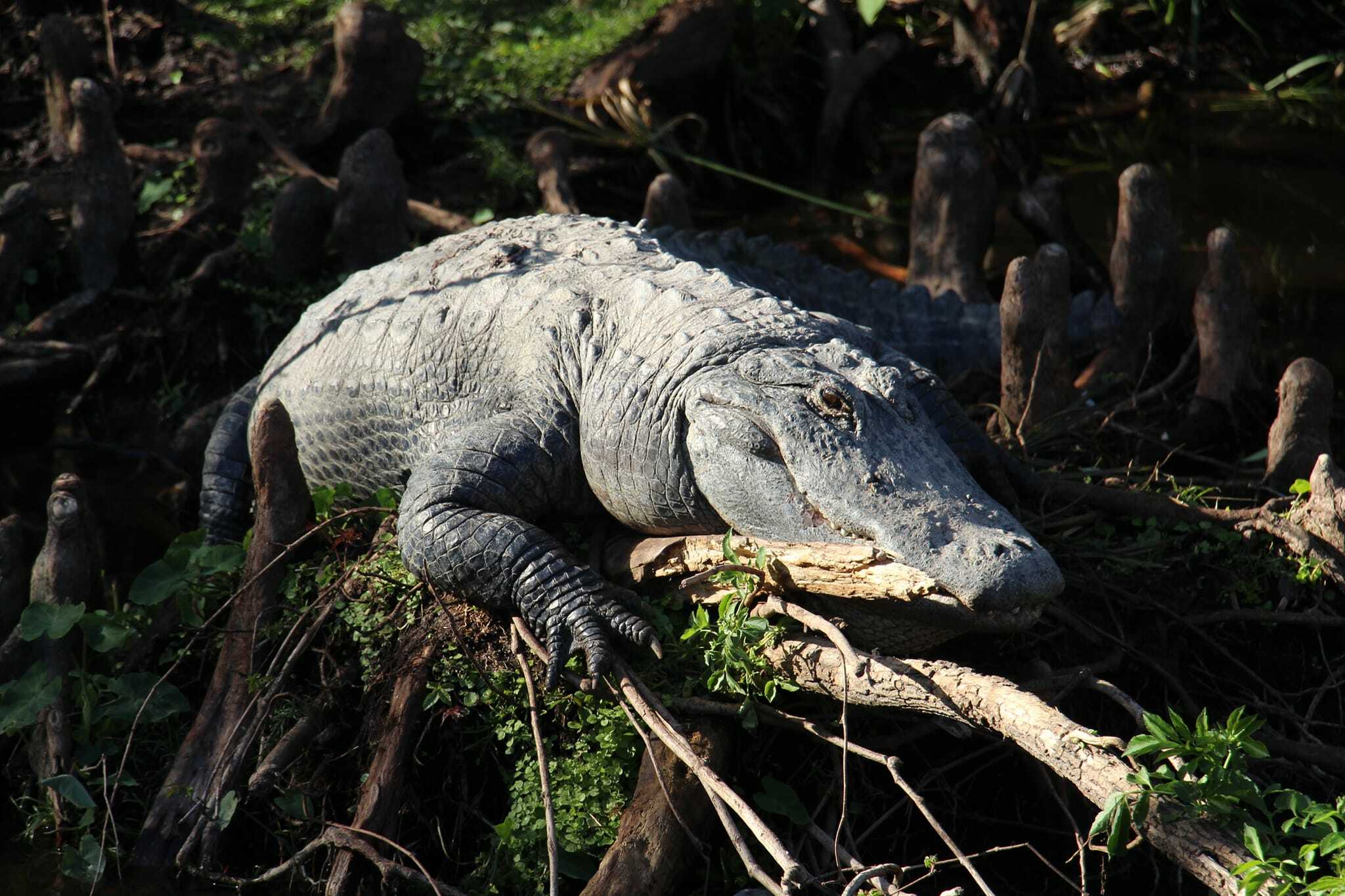 Florida Resident Savings through January 31, 2026! General Admission Special