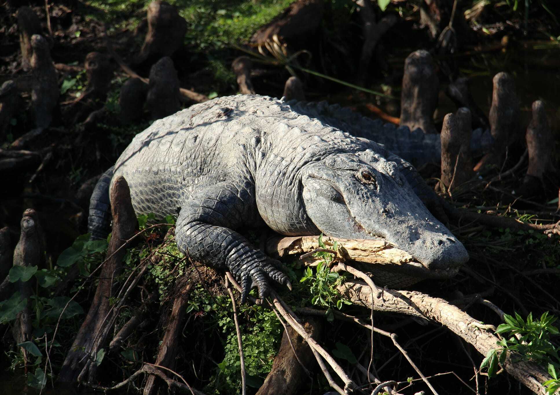 Florida Resident Savings through January 31, 2026! General Admission Special