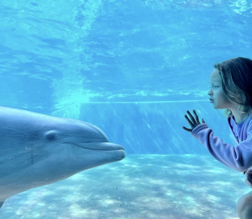 Sea World