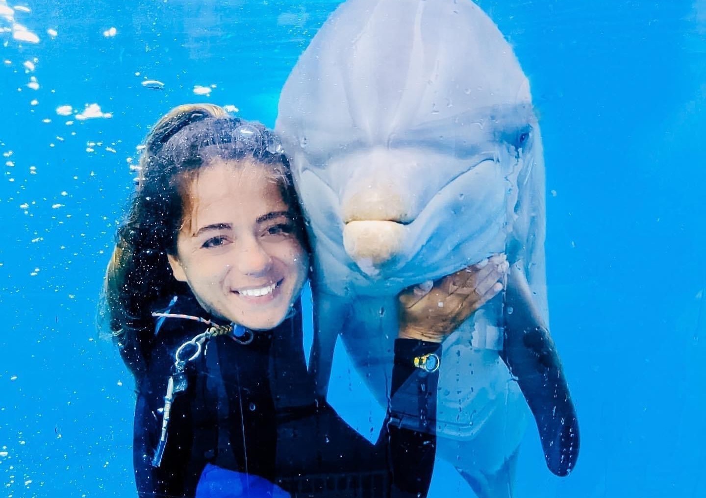 Gulf World Marine Park