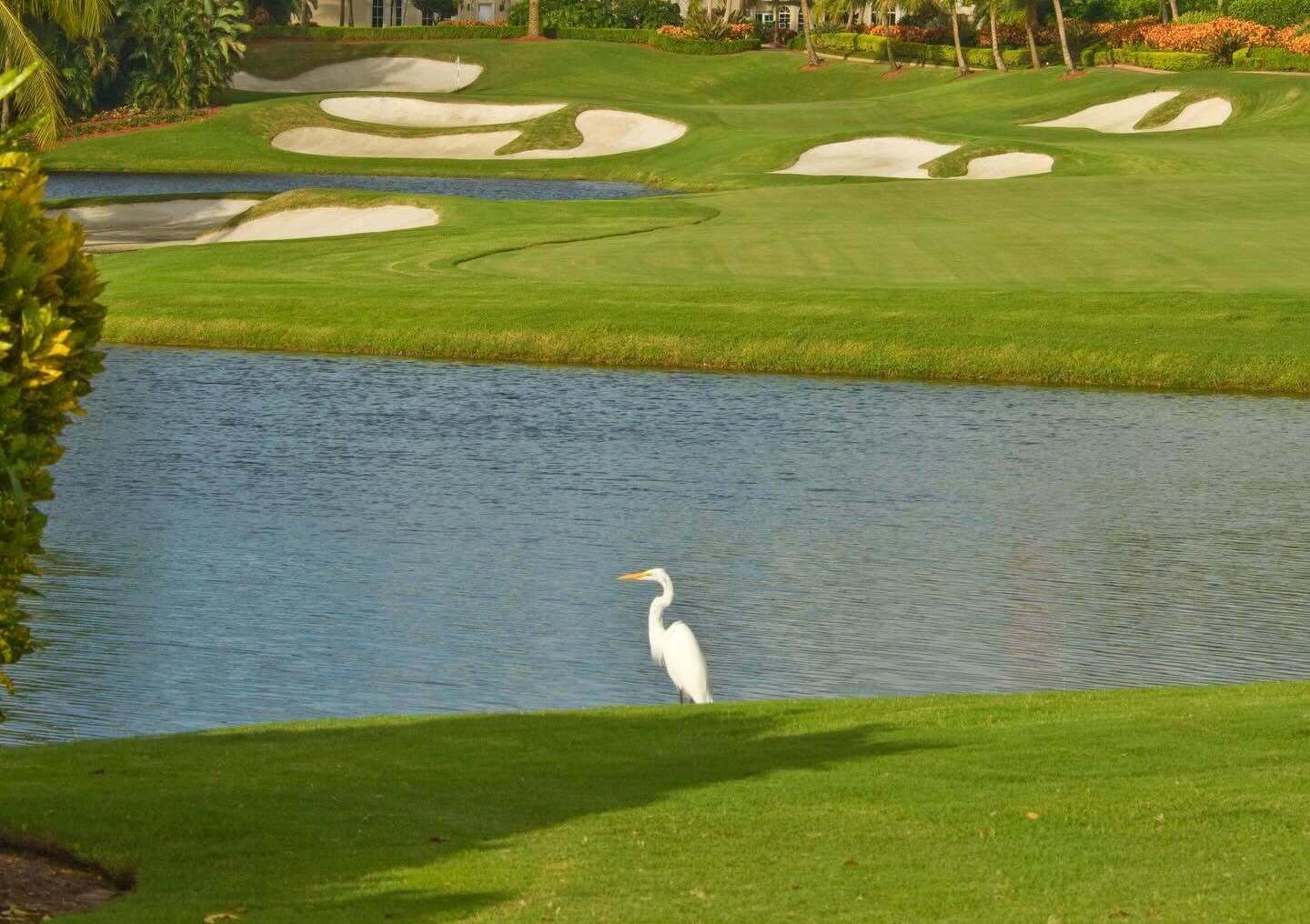 Trump International Golf Club