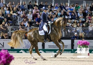 Friday Night Stars World Cup