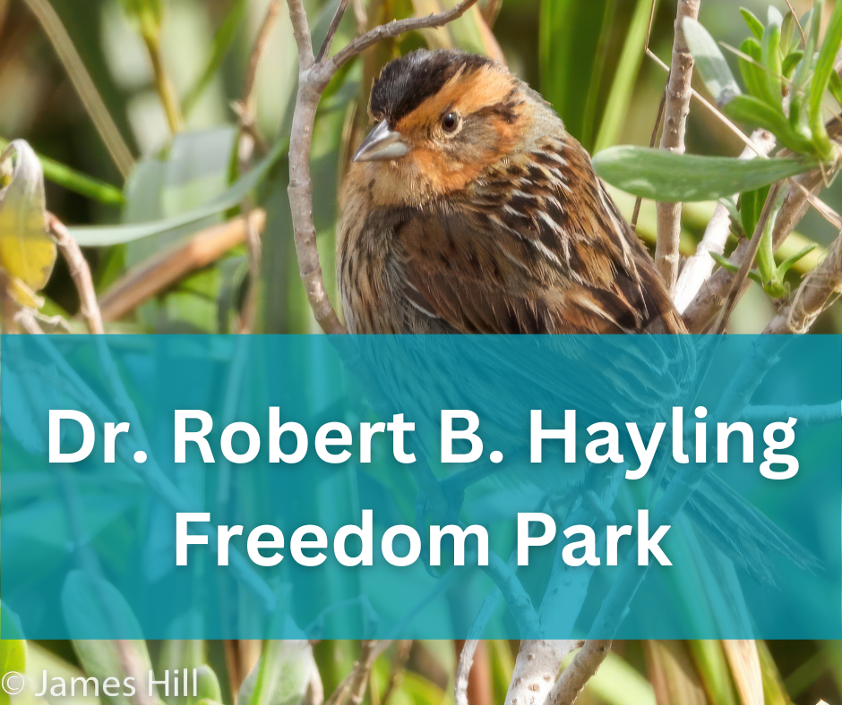 Great Florida Birding Trail