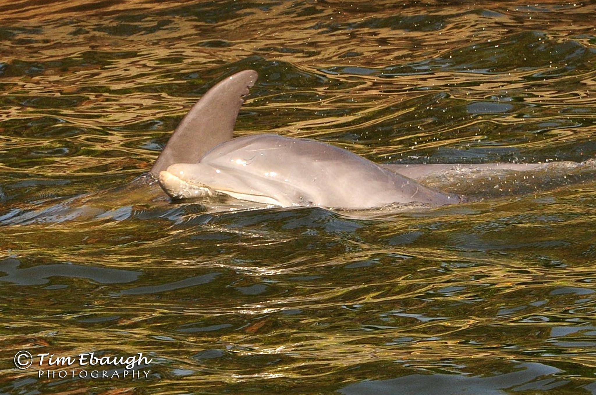Good Natured River Tours