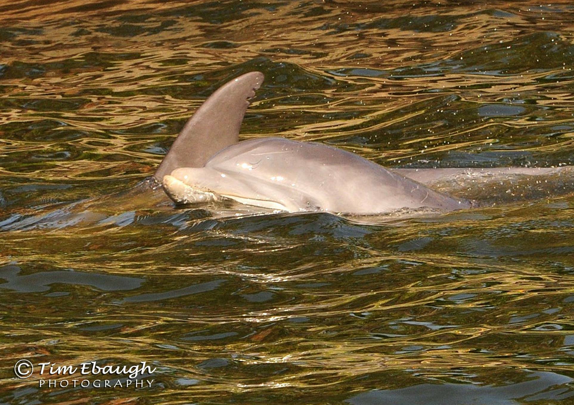 Good Natured River Tours