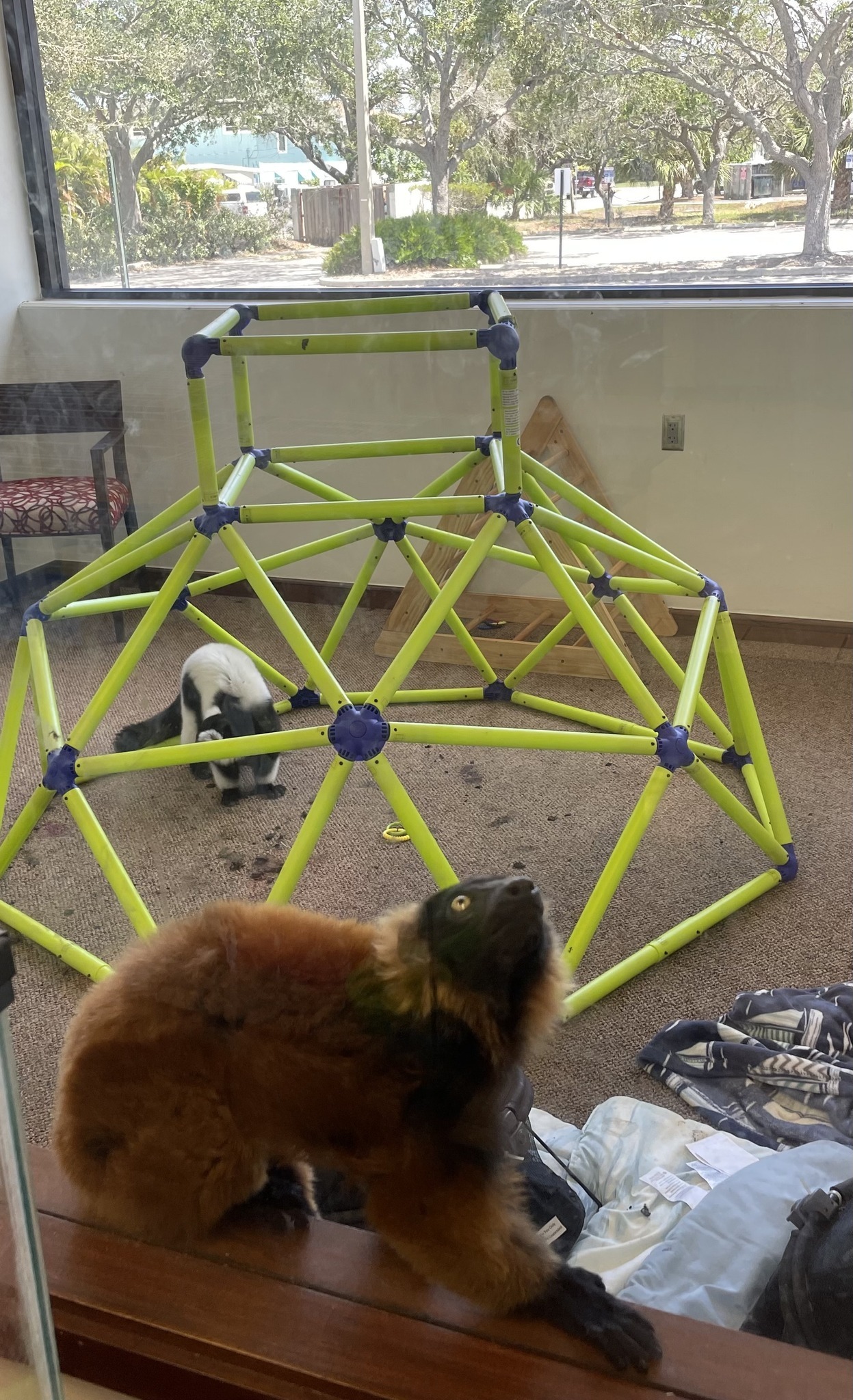 Alligator & Wildlife Discovery Center