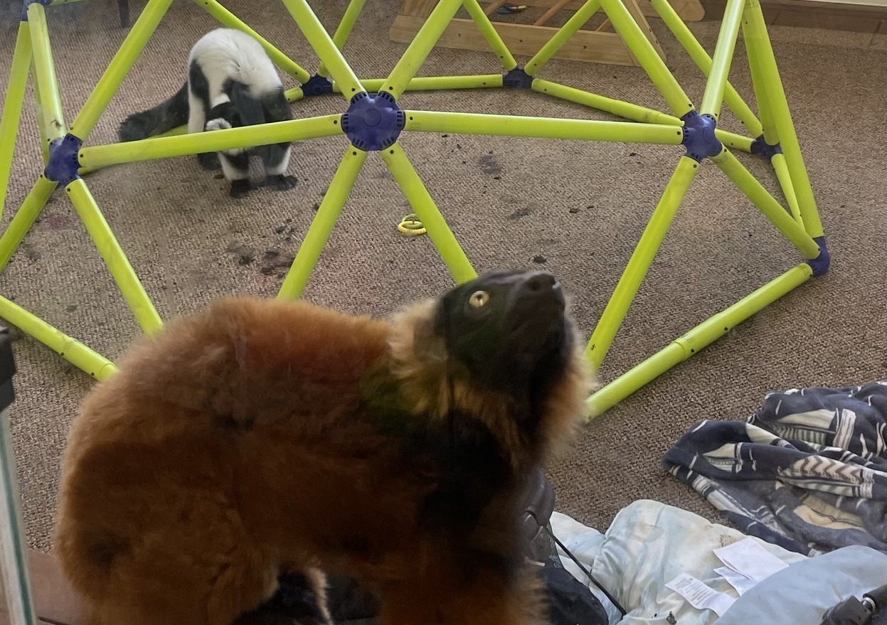 Alligator & Wildlife Discovery Center