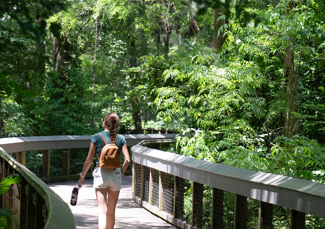 Silver Springs State Park