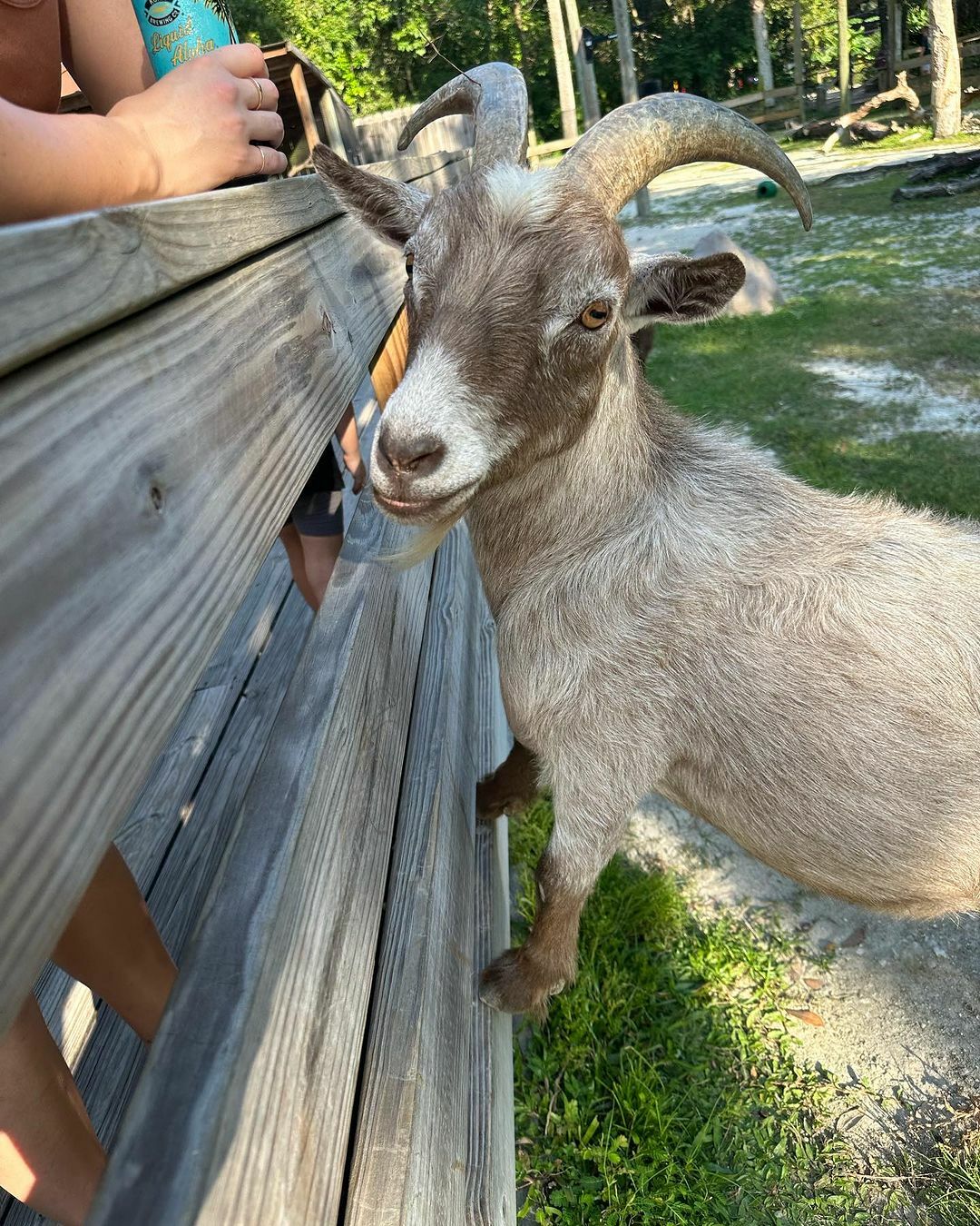 Central Florida Zoo & Botanical Gardens