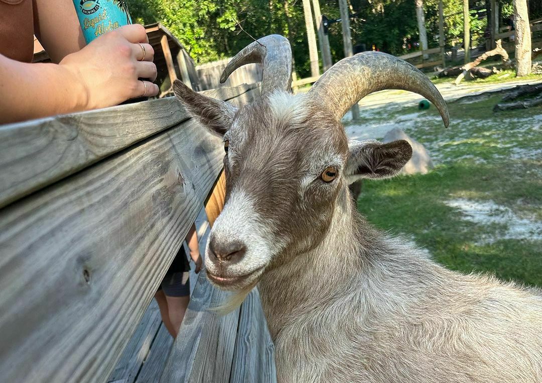 Central Florida Zoo & Botanical Gardens