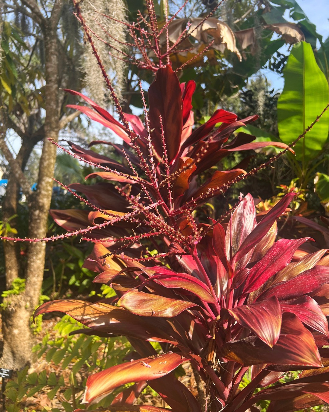 Leu Botanical Garden