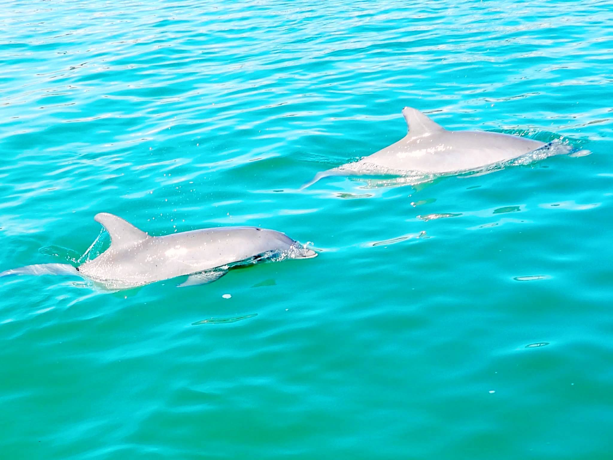 Perdido Key RV Park Resort & Marina