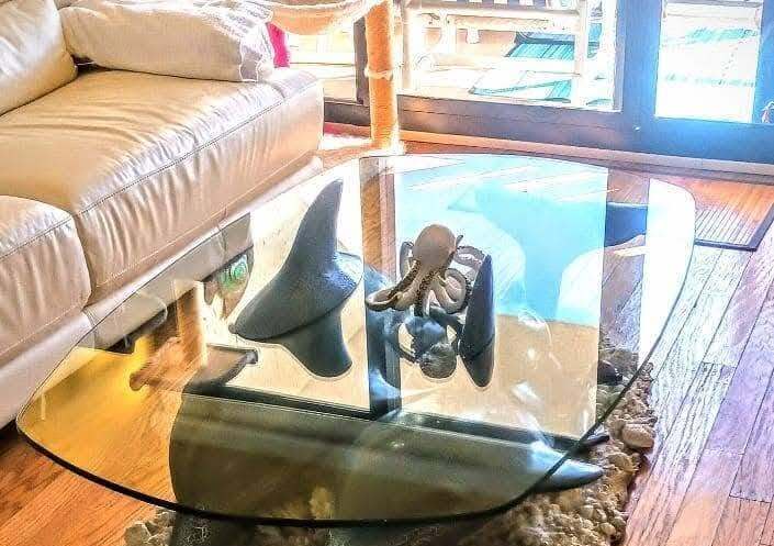 Glass Specialists Inc.