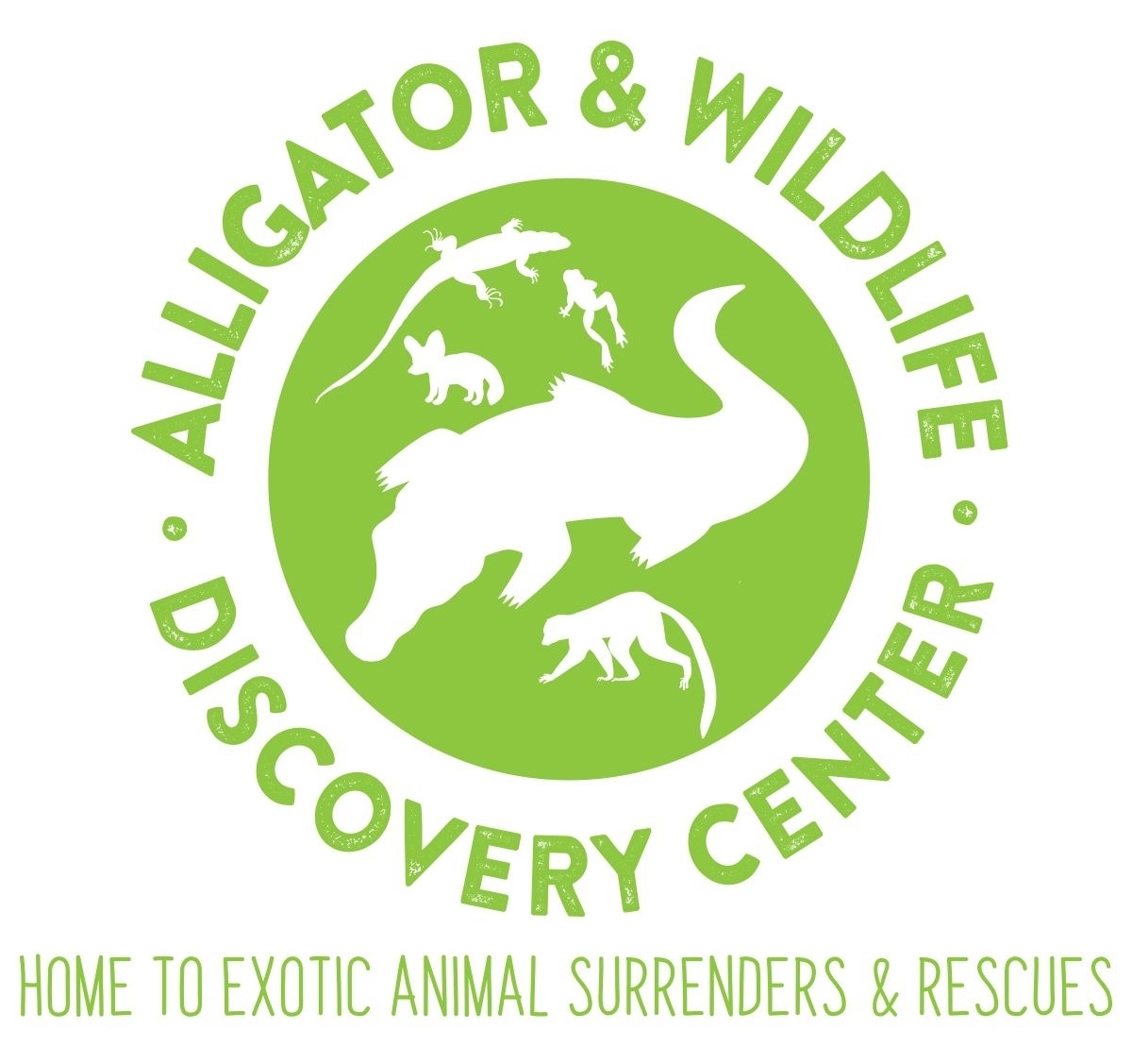 Alligator & Wildlife Discovery Center
