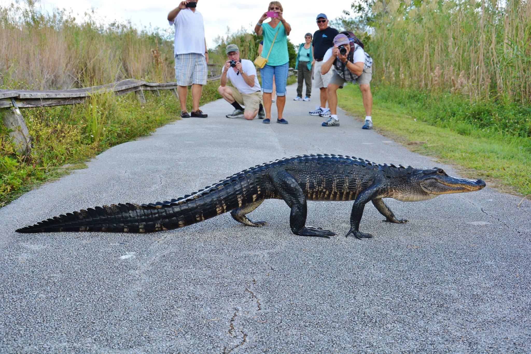Everglades National Park