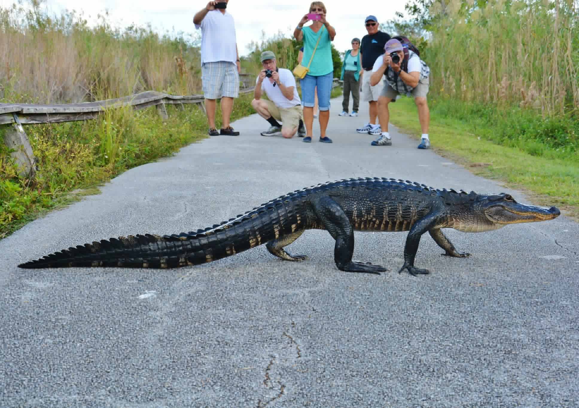 Everglades National Park