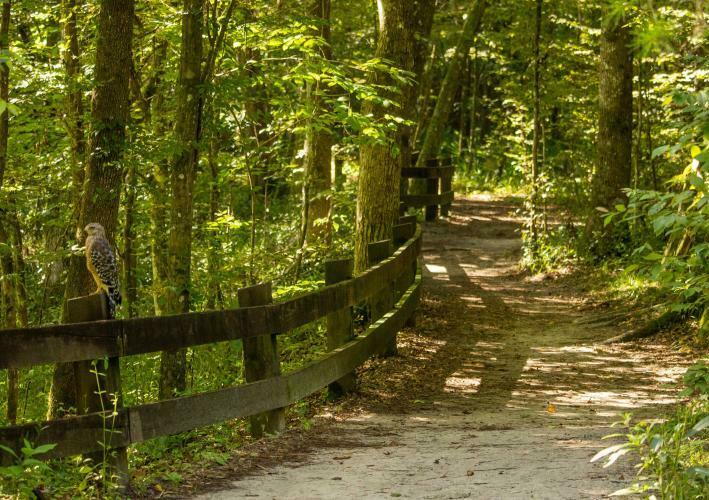 Devils Millhopper Geological State Park