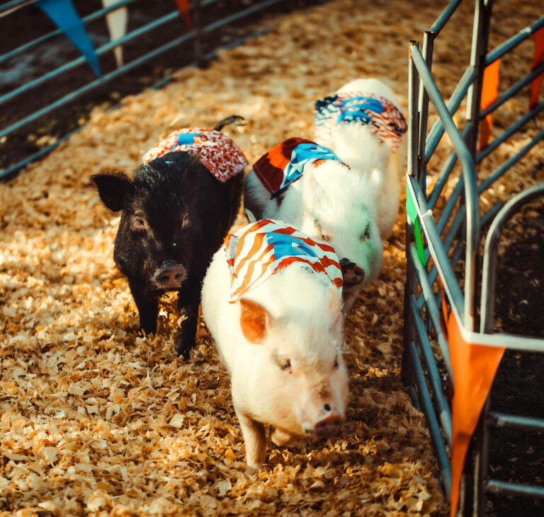 Central FLorida Fair