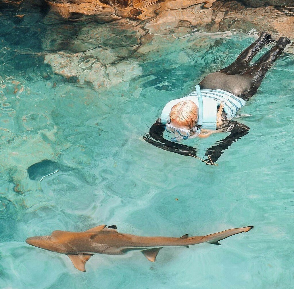 Discovery Cove Orlando