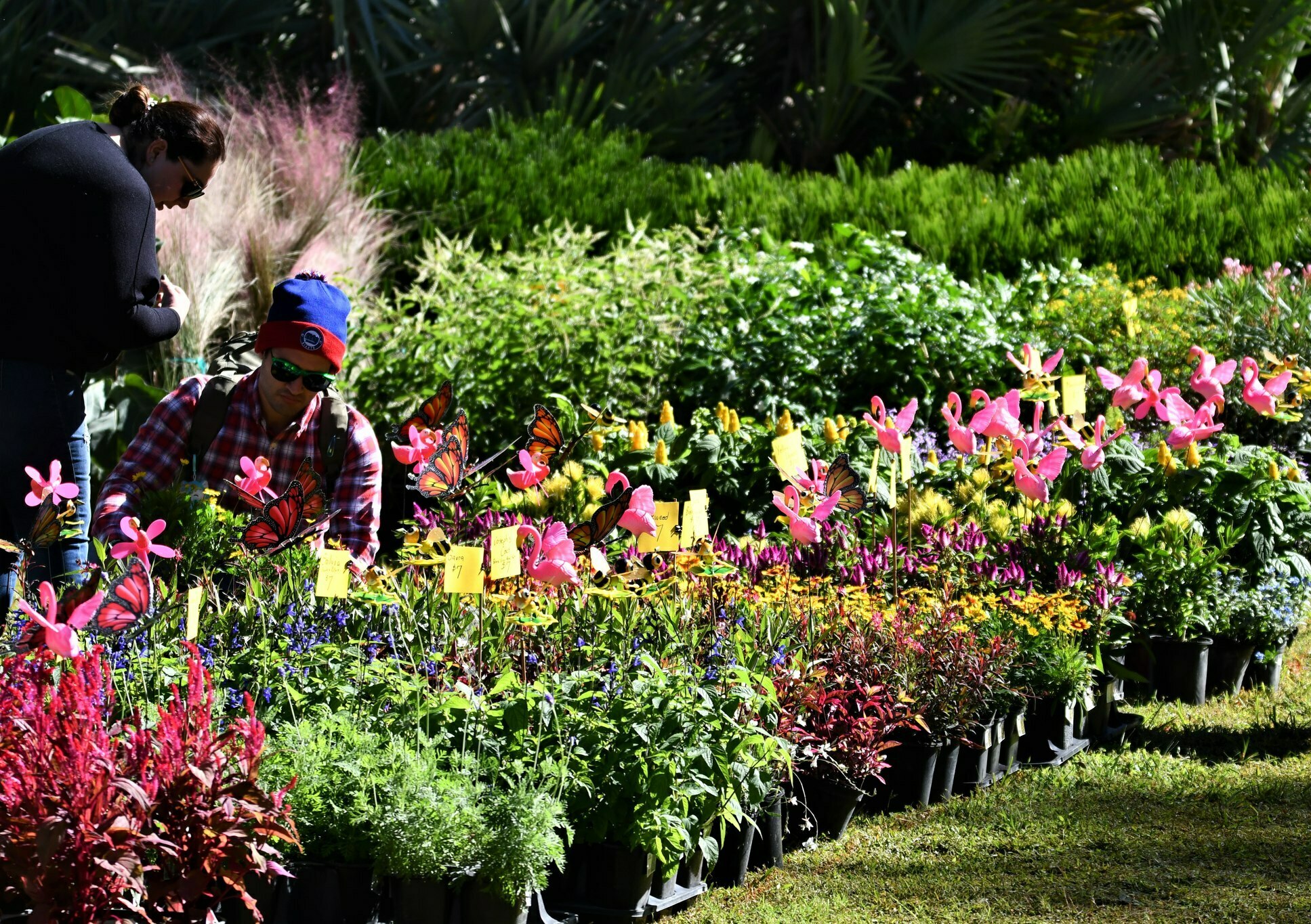 Kanapaha Botanical Gardens