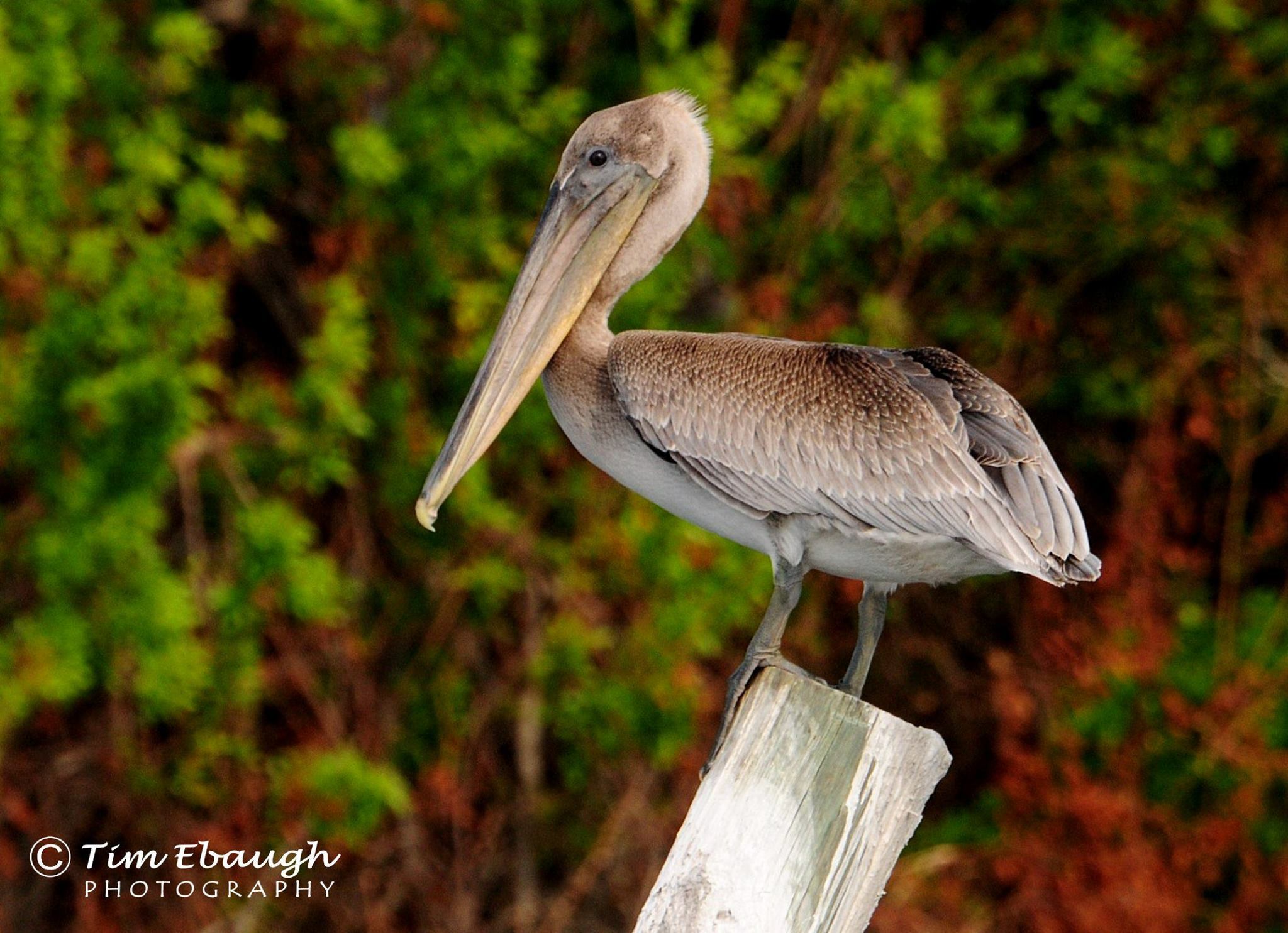 Good Natured River Tours