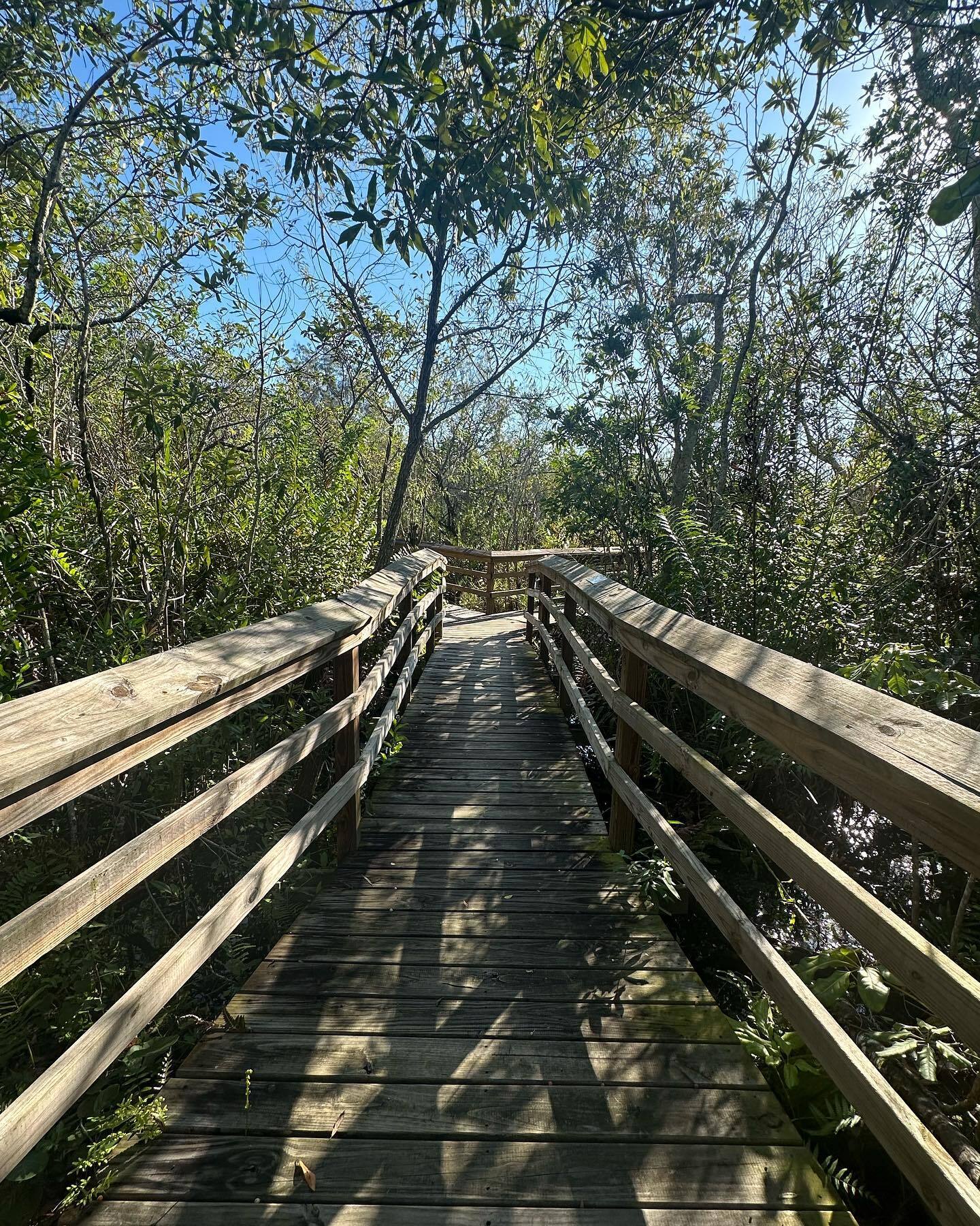 Everglades Safari Park