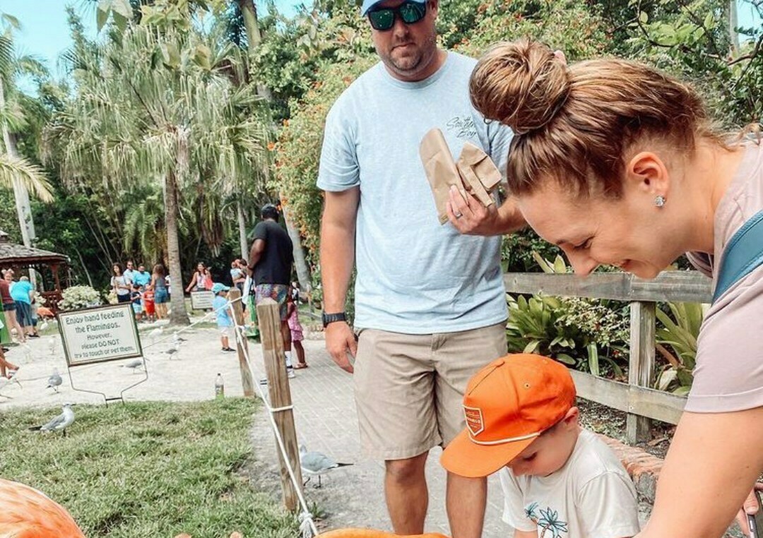 Sarasota Jungle Gardens