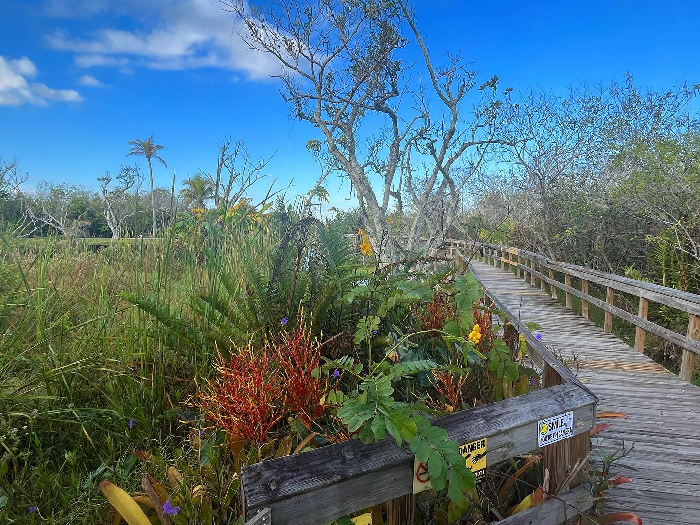 Everglades Safari Park