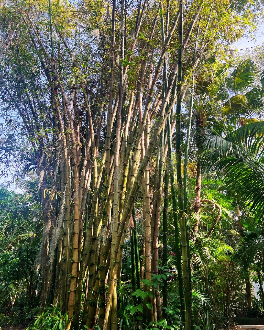 Leu Botanical Garden