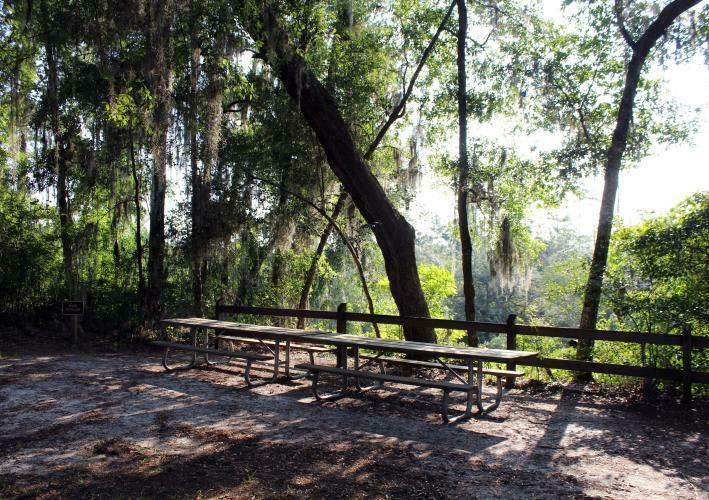 Big Shoals State Park