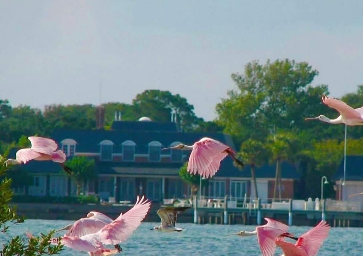 Totally St. Augustine