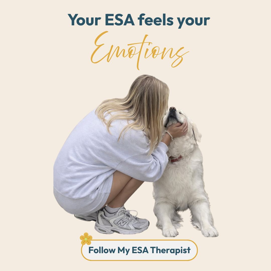 My ESA Therapist - ESA Letter Evaluation - Florida