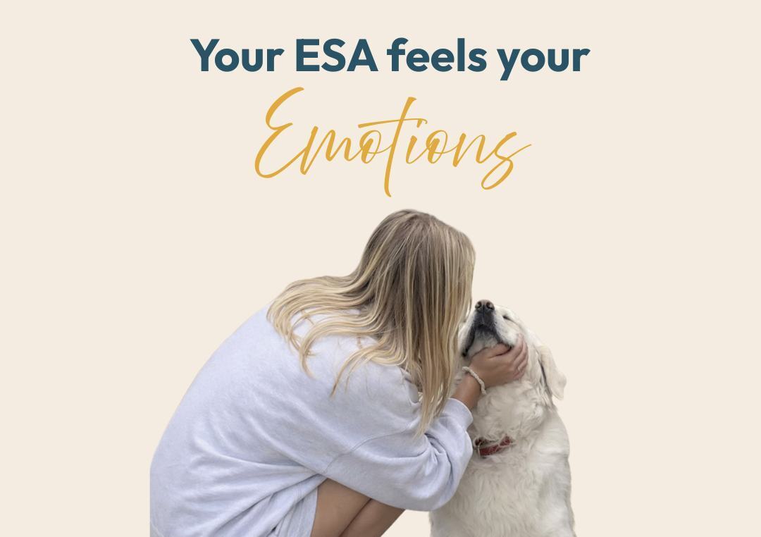 My ESA Therapist - ESA Letter Evaluation - Florida