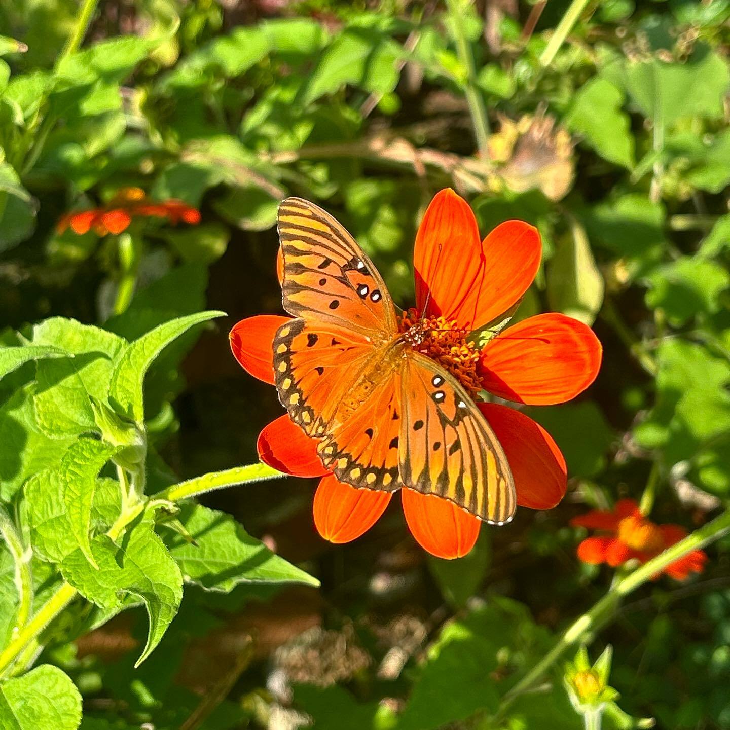 Cummer Museum of Art & Gardens