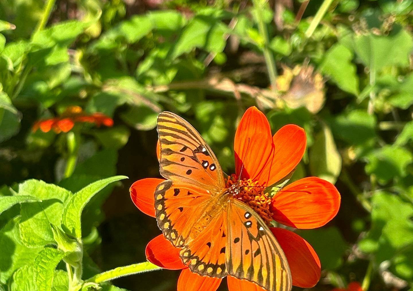 Cummer Museum of Art & Gardens