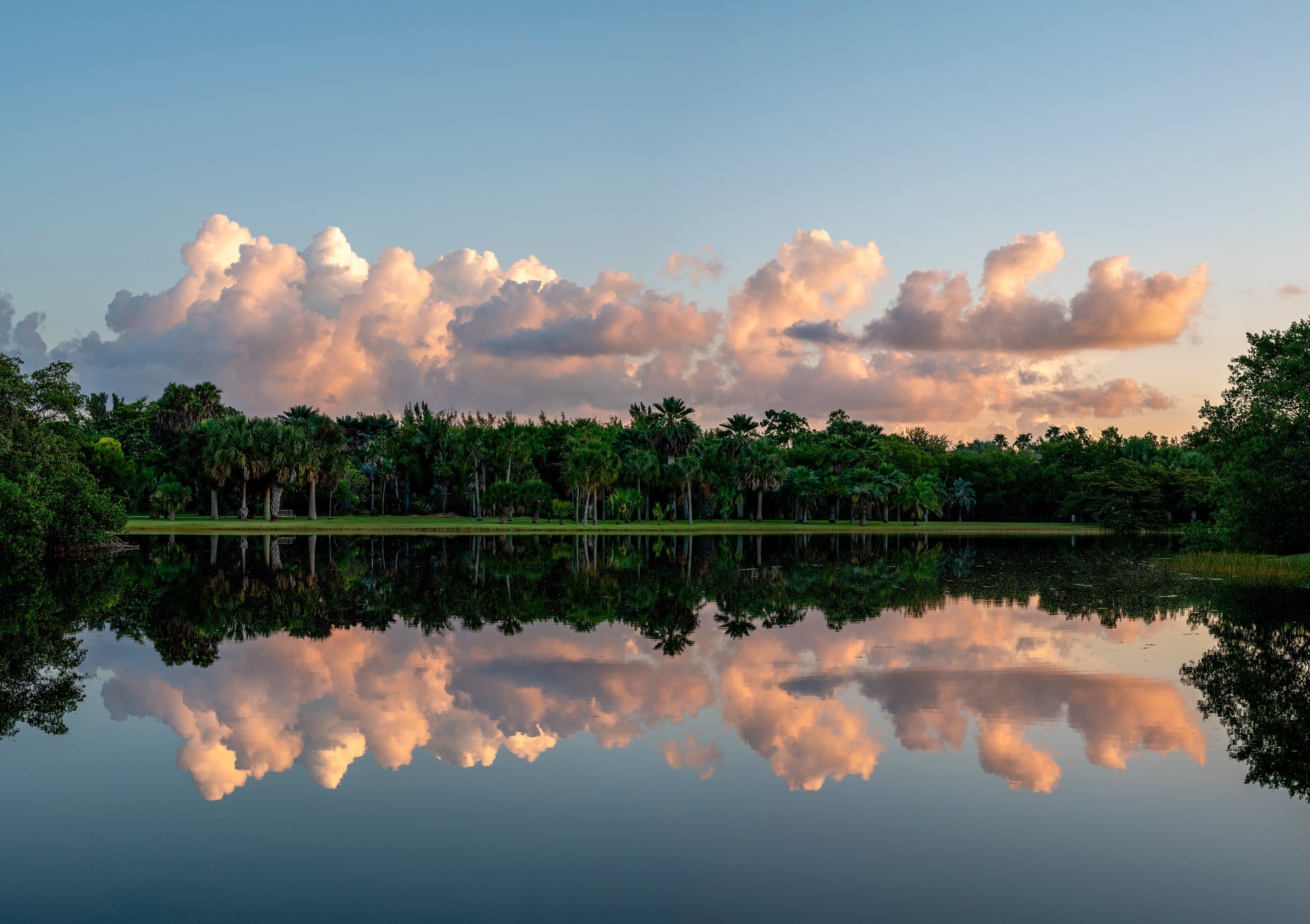 Fairchild Tropical Botanic Garden