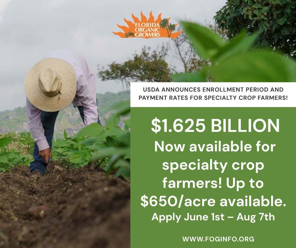 Florida Farmer's Market Association