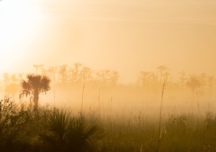 Big Cypress National Preserve
