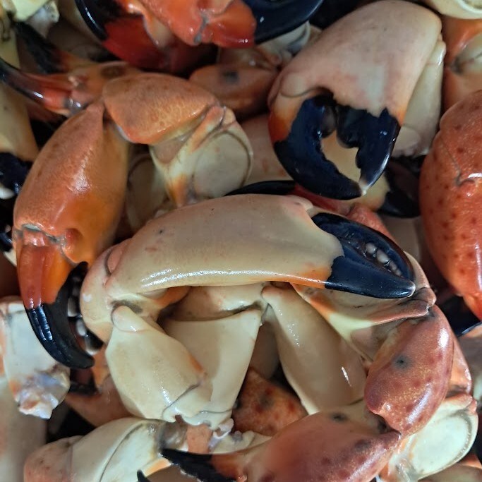 Star Fish Company Seafood Market & Restaurant