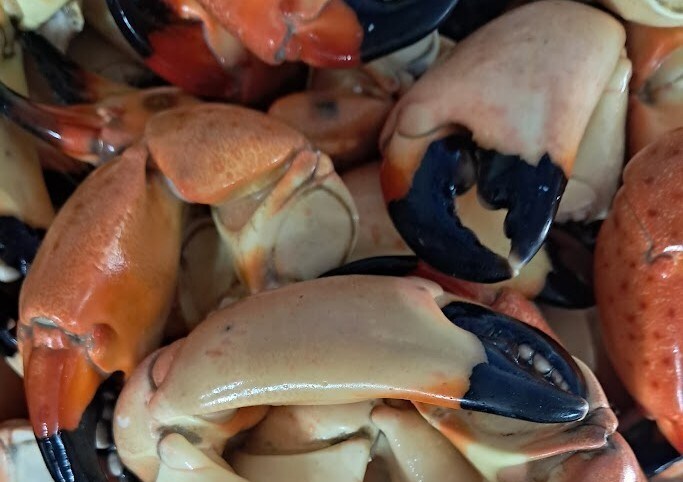 Star Fish Company Seafood Market & Restaurant