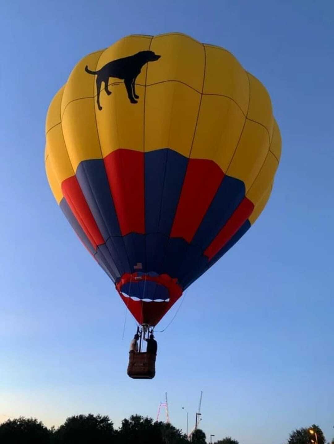 Air Hound Adventures