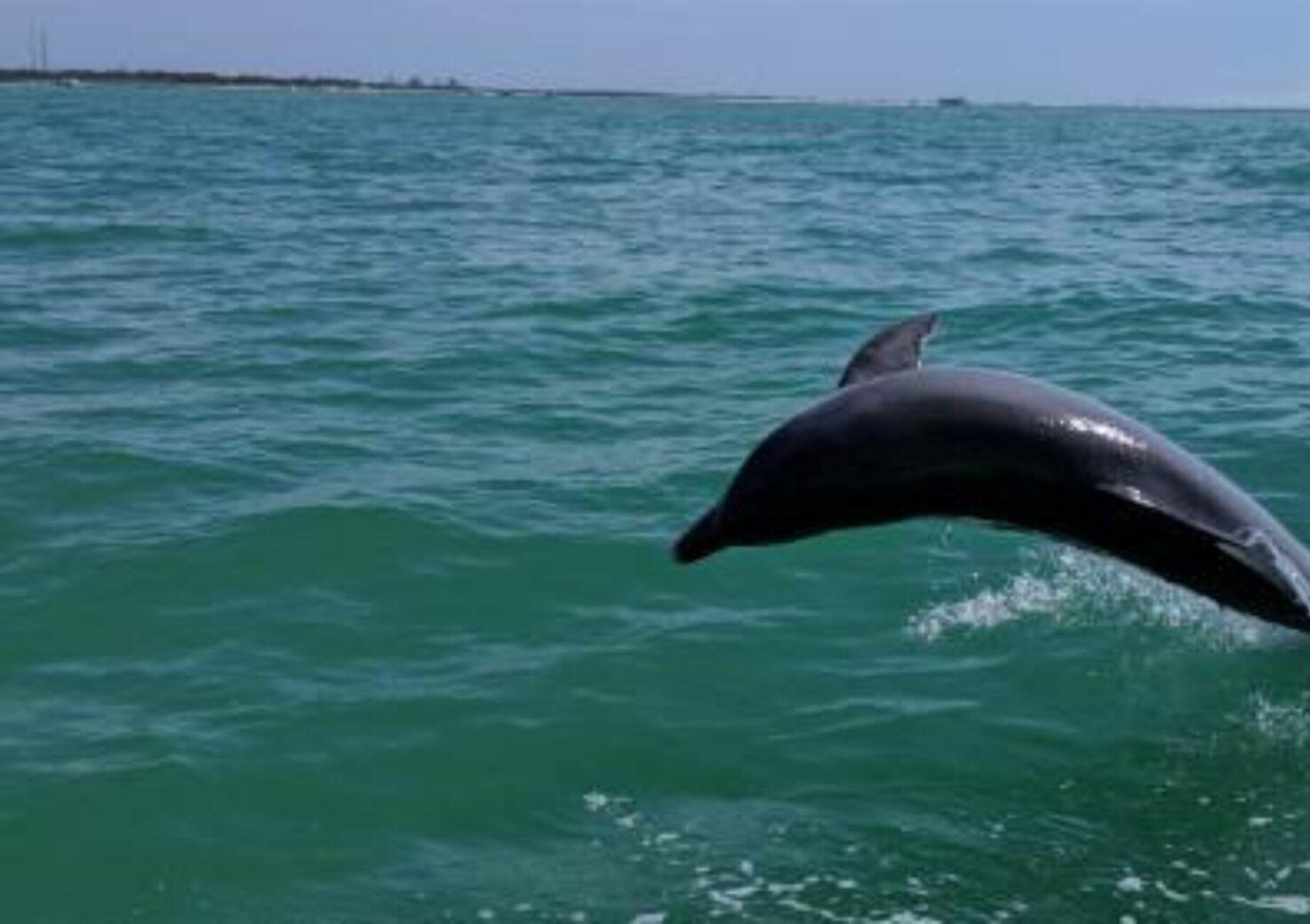 City of Treasure Island 