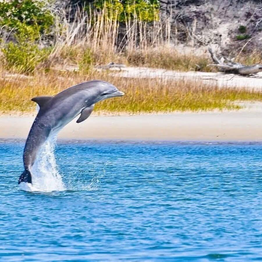 Totally St. Augustine