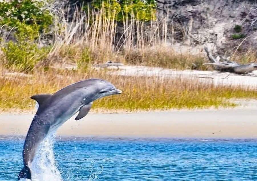 Totally St. Augustine