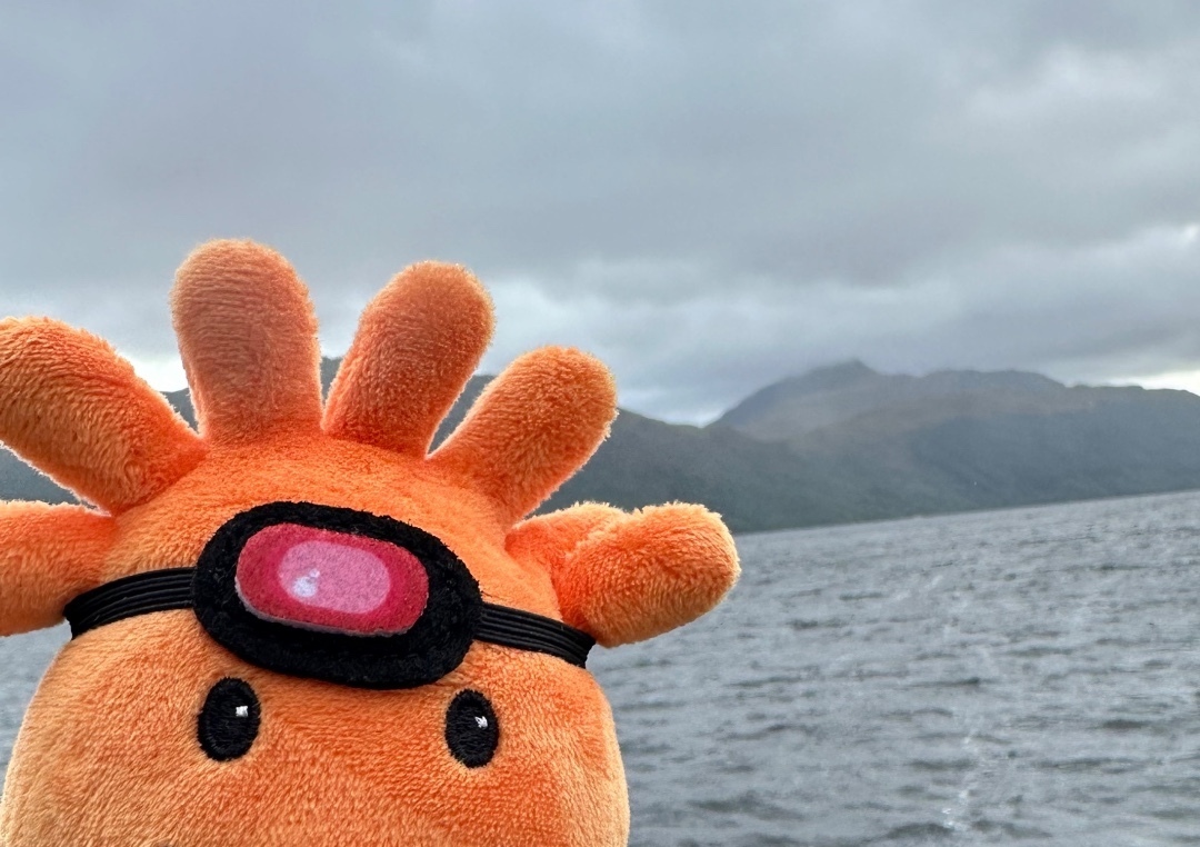 The Florida Aquarium