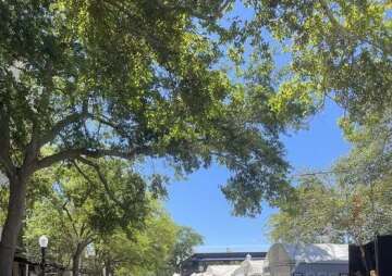 Winter Park Art Festival