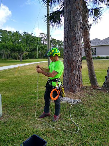 Dan's Tree Service