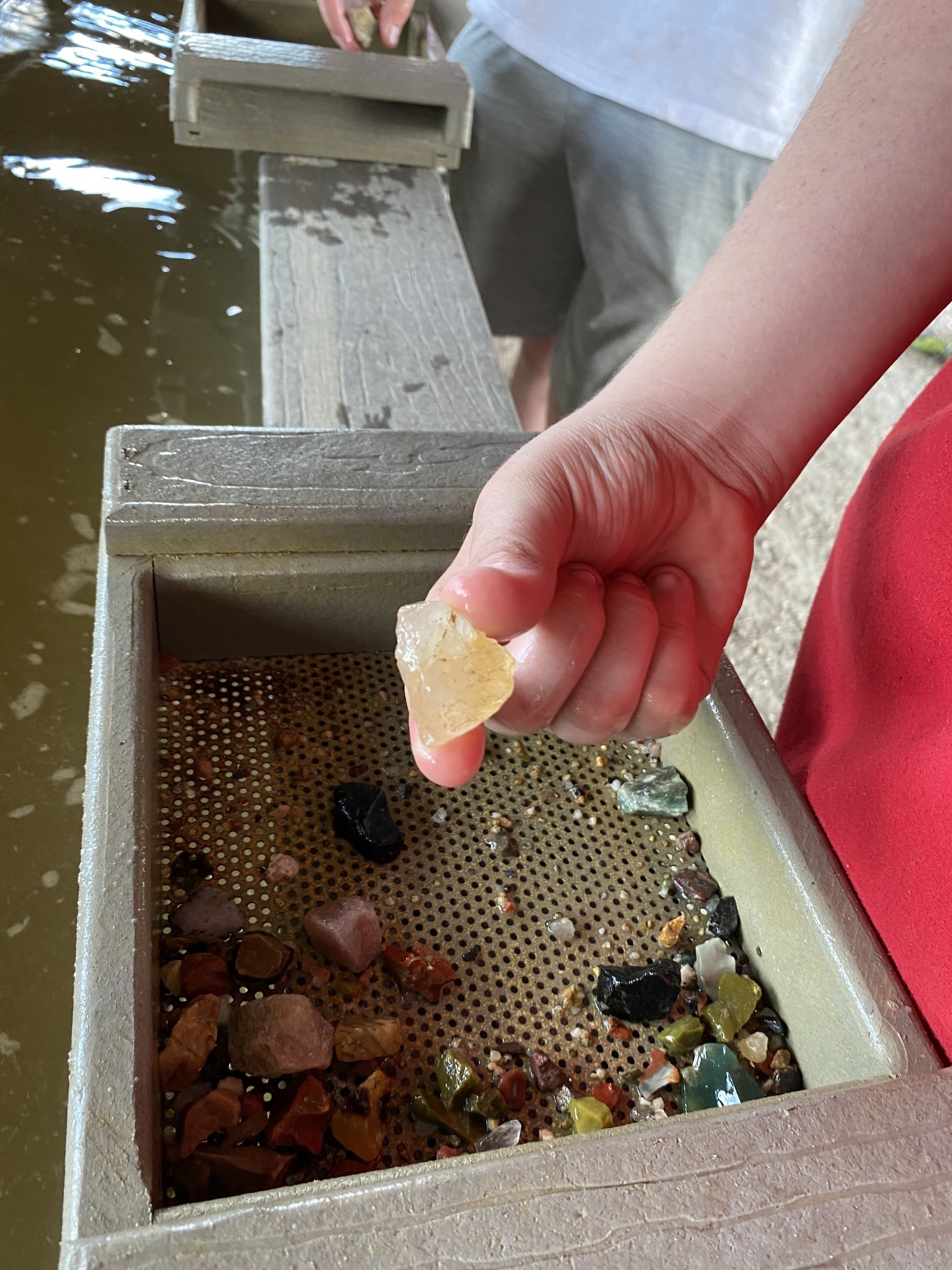 Sawgrass Recreation Park Everglades