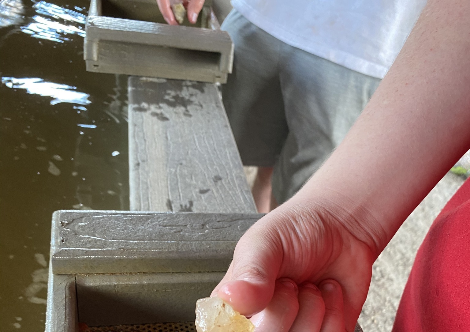 Sawgrass Recreation Park Everglades