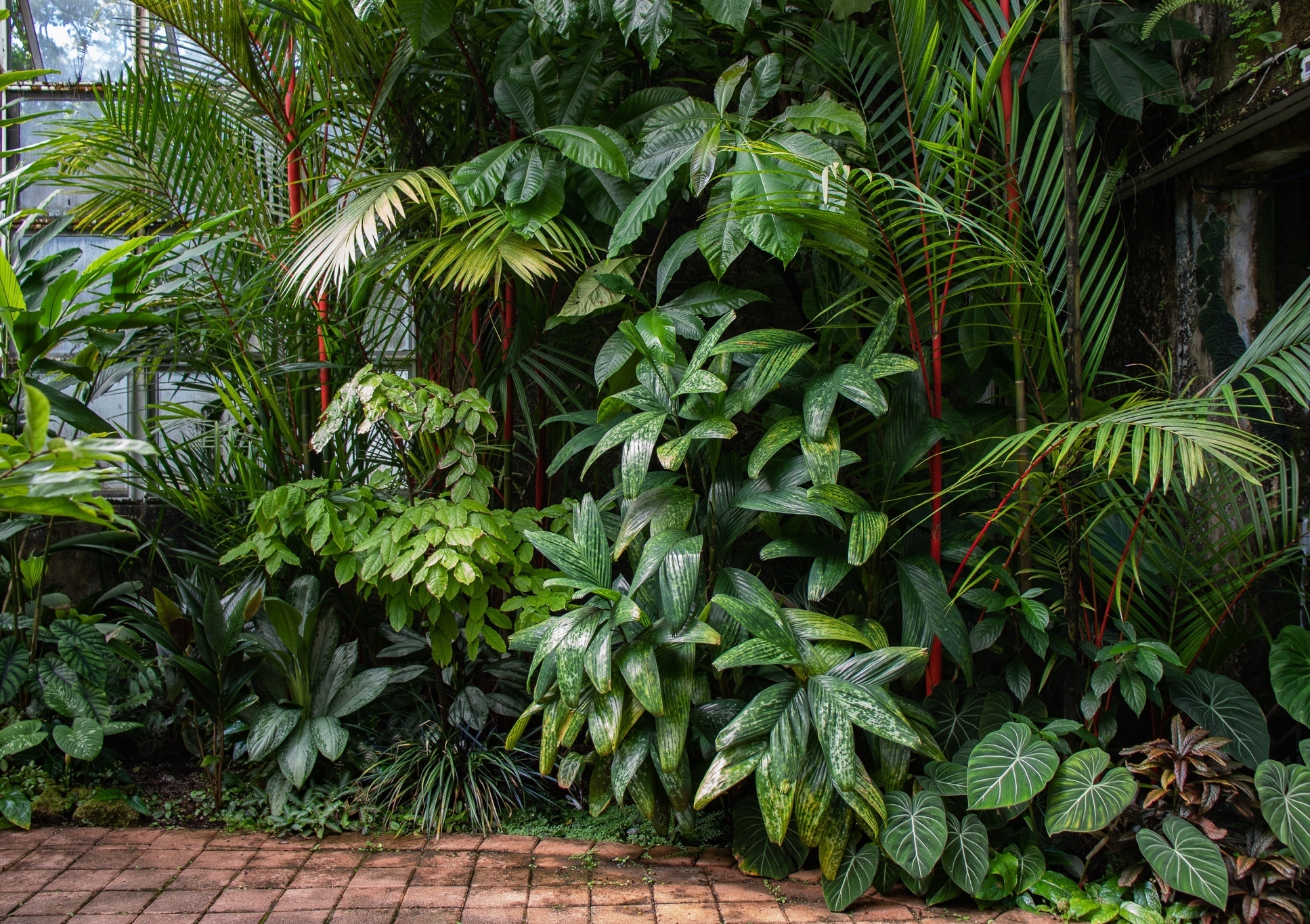 Fairchild Tropical Botanic Garden